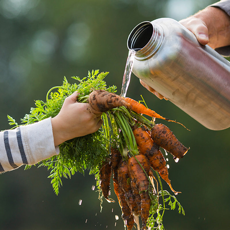 64oz-wide-with-loop-cap-u1 64oz_wide_mouth_bottle_carrots_rinse_square.jpg