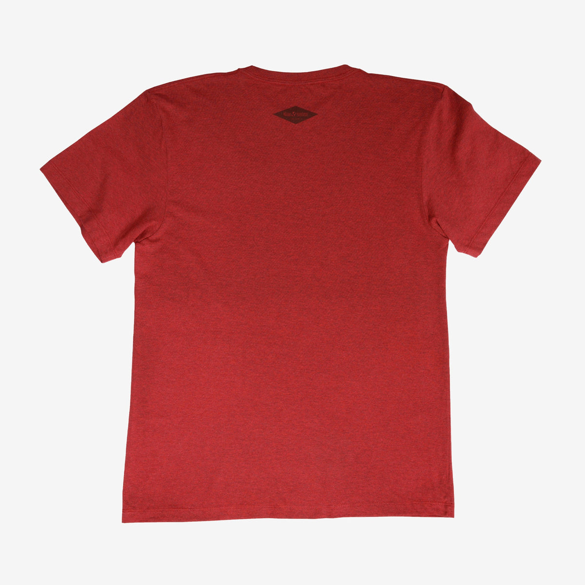 backyard-t-shirt-c9 Shirt_Mtn_Back.jpg